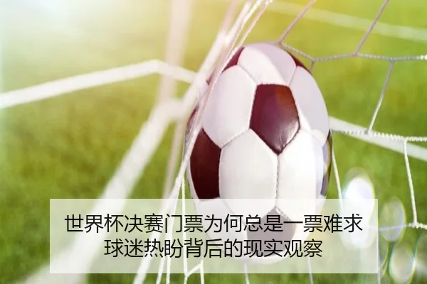 世界杯决赛门票为何总是一票难求 球迷热盼背后的现实观察